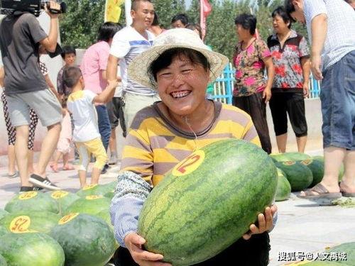 禹城吃瓜事件真相