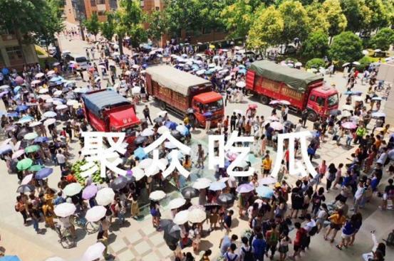 学校吃瓜围栏,揭秘校园生活趣味瞬间