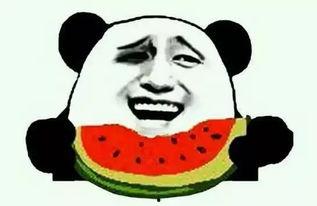 吃瓜单身,揭秘当代单身族的快乐生活