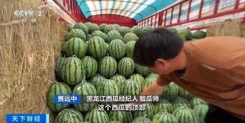 吃瓜褥疮,揭秘网络热议背后的健康隐患