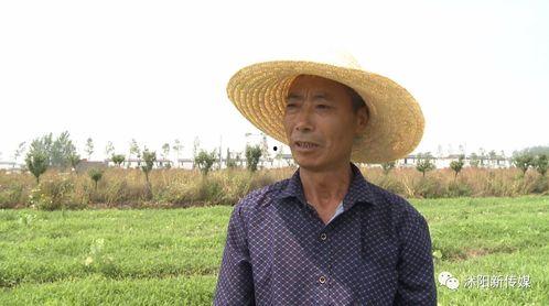 吃瓜群众帮忙警察,共同守护平安家园