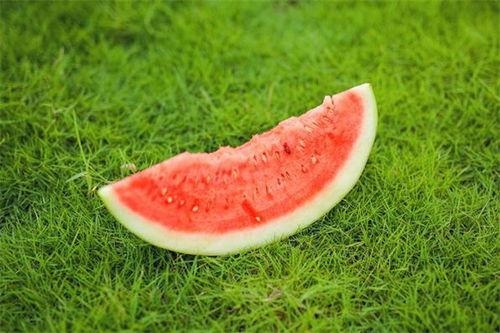 吃小瓜嘴发麻,揭秘吃小瓜嘴发麻的神奇体验