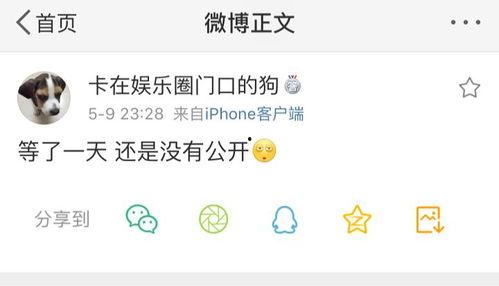 吃瓜爆料在哪看,追踪热门八卦的独家指南