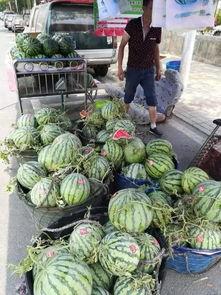 邯郸本地吃瓜事件,一场引发热议的本地风波揭秘