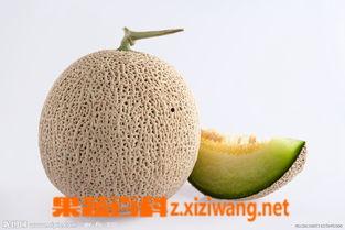 黄蜜瓜孕妇可以吃吗,孕妇适宜食用的美味水果