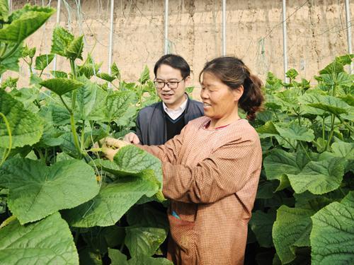 孕期可以吃大棚瓜,安心享用大棚瓜果的秘诀