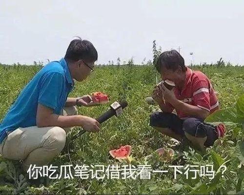 不理性吃瓜,揭秘不理性吃瓜背后的心理奥秘