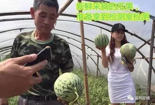 群众在线吃瓜直播,群众在线吃瓜直播现象解析