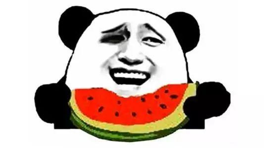 二十不惑2 吃瓜搞笑,笑料横生，瓜田里的欢乐时光