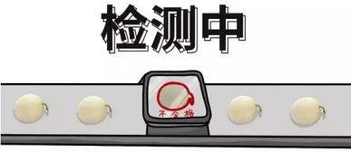 吃瓜现象的弊端,吃瓜现象的负面影响解析