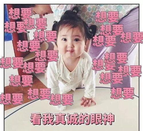 冒血吃瓜,揭秘娱乐圈的惊悚幕后