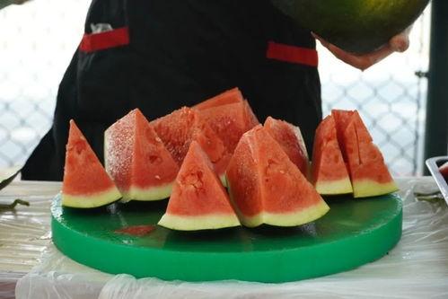 家人们吃瓜配乐,家人们共享的吃瓜音乐盛宴