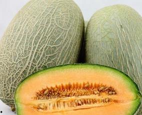 月经期可以吃哈密瓜不