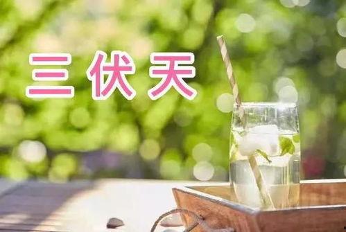 不问别离吃瓜板,网络热词背后的故事与影响