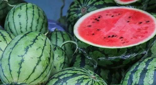 西瓜姐吃瓜,揭秘娱乐圈那些不为人知的幕后故事