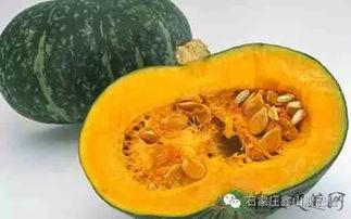 胃病可以吃白瓜,白瓜的养胃功效解析