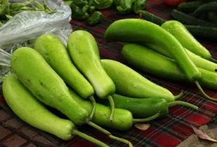 长葫芦瓜怎样吃,探索美味与营养的完美结合