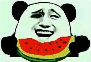 吃瓜日群7355292,一场全民参与的趣味盛宴