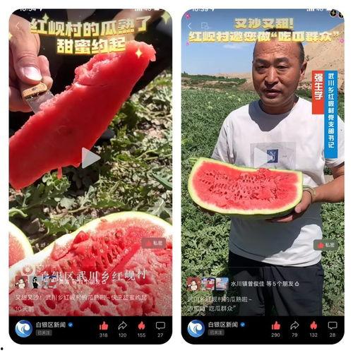 吃瓜群众甜蜜指南