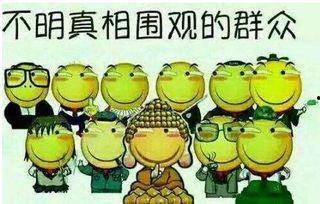 吃瓜群众546,一场全民参与的舆论风暴