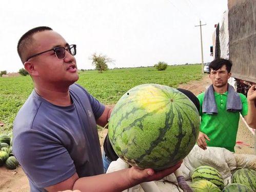 乌鲁木齐外出吃瓜,街头吃瓜，感受新疆风情