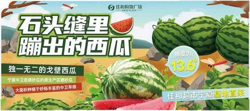 卡酷成长中心吃瓜,瓜田里的快乐成长之旅