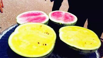 周口鹿邑吃瓜爆料