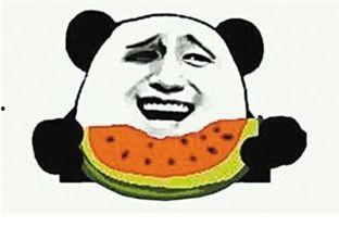 吃瓜群众三月瓜,揭秘吃瓜群众的瓜田奇遇