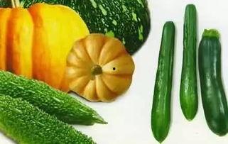 济宁冠亚吃瓜,揭秘吃瓜群众的狂欢盛宴